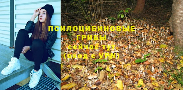 хмурый Волосово