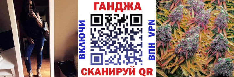 Купить где Суджа Конопля индика